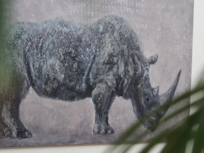 Де у Хмельницькому можна поринути у мальовничу романтику «хаосу» (ФОТО)