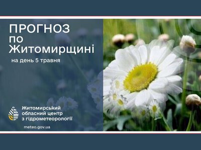 Погода сьогодні на Житомирщині
