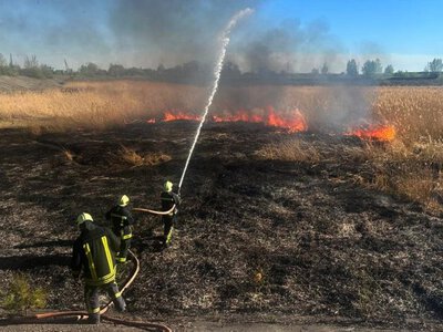 Горіли очерет і суха трава: на Волині за добу ліквідували 10 пожеж