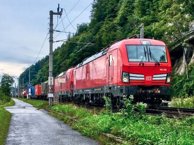 Араба, що вбив у Німеччині українку, визнали неосудним