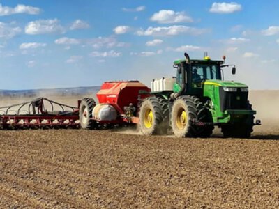 В Україні ярими культурами вже засіяли 43% прогнозованих площ: які регіони-лідери