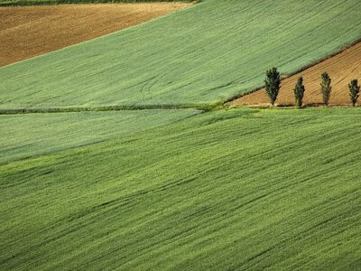 В українців можуть вилучати городи: кого це стосується у 2026 