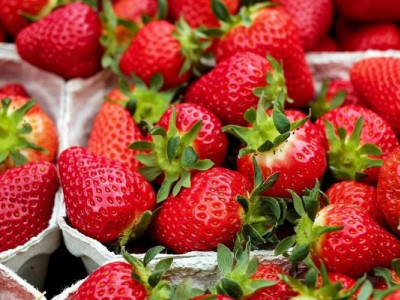 Ранні овочі й фрукти перевірили у лабораторії: чи виявили хімію