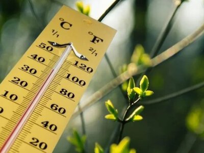 Майже літо: яка погода очікує українців на тижні