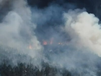Масштабна пожежа біля кордону: на Чернігівщині палають тисячі гектарів лісу
