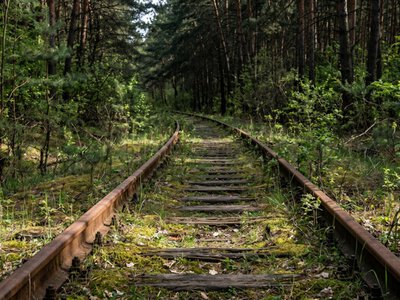 Забута залізниця: куди ведуть рейки, що зникають посеред лісу на Дніпропетровщині