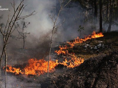 Площа пожежі у Чорнобильській зоні перевищила 1100 гектарів – відео з місця події