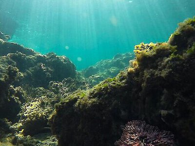 Японські вчені виявили підводний вулкан віком близько 3 мільйонів років