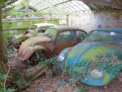 Кладовище Жуків: на занедбаному складі виявили покинуту колекцію Volkswage