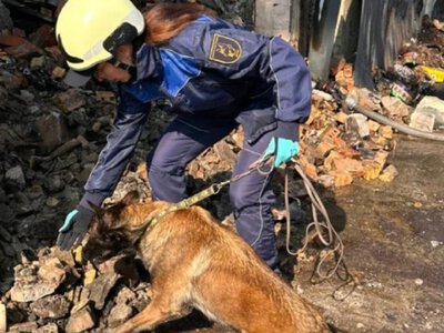 Рятувальники шукають людей під завалами: кадри жорстокого удару РФ по Києву