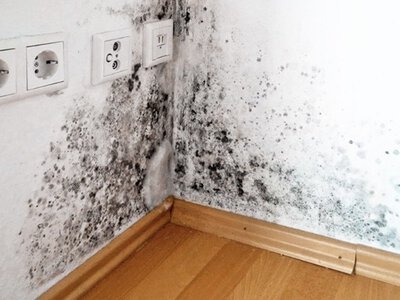 Погана вентиляція чи дірява труба? Один шматок фольги покаже, чому ваші стіни чорніють