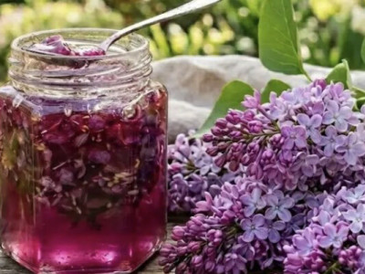 Бузок не лише для букетів: як приготувати з нього вишукане весняне варення. ВІДЕО