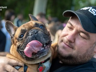 Сотні кумедних носиків в одному місці: французькі бульдоги захопили одеський парк заради рекорду