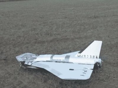 Росія навмисно спрямовує українські дрони до країн Балтії - глава МЗС Литви