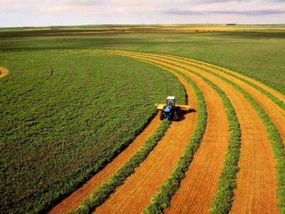 Українська земля ще не перегріта: чому інвесторам варто заходити зараз
