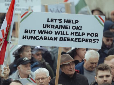 Угорщина відновлює заборону на імпорт продуктів з України – скасування назвали помилкою