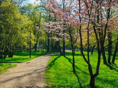 Україну розігріє до +28, але ненадовго: синоптик попередила про похолодання