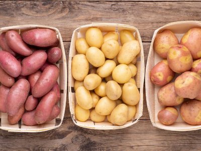 Названо 4 найсмачніших сортів картоплі в Україні: фермери їх обожнюють