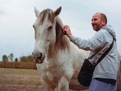 У Полтаві проведуть безкоштовні заняття з кіньми для сімей захисників