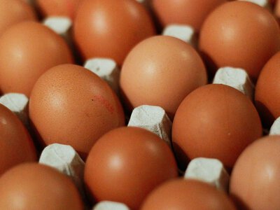 Україна у квітні експортувала рекордний за 5 років обсяг яєць