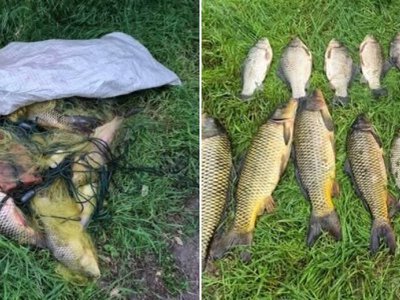 Наловили риби на 42 тис. гривень: на Дніпровському водосховищі виявили порушників нерестової заборони