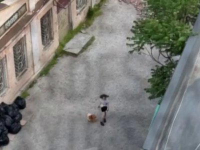 У соцмережах з’явилося відео жорстокого поводження з собакою: поліція Одеси проводить перевірку