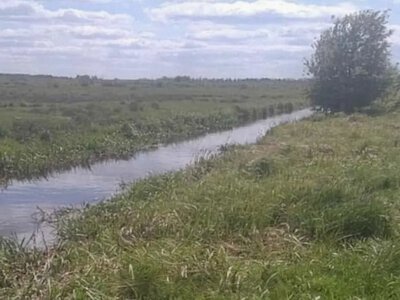 У селі Світязь Ковельського району виявили тіло чоловіка