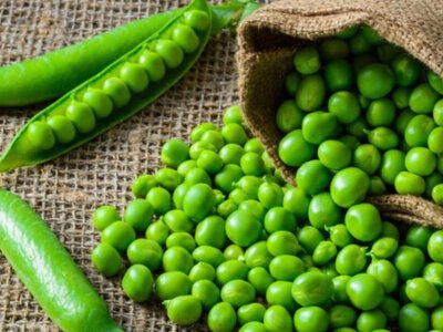 Які нішеві культури радять вирощувати українські експерти