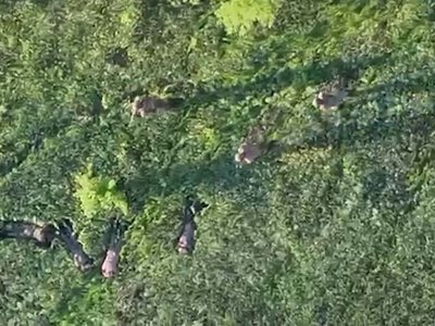 Дрон ДПСУ взяв у полон чотирьох росіян. ВІДЕО