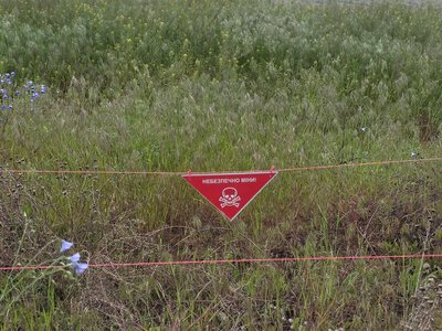 Під обстрілами «Олешківські піски», «Асканія-Нова» та «Кам'янська Січ». У Мінекономіки розповіли, скільки росія знищила природних об'єктів