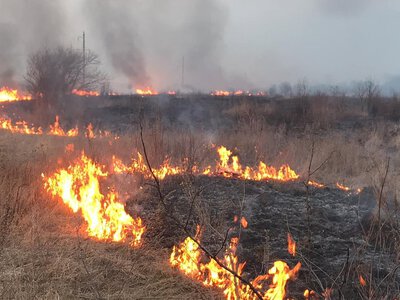 Понад гектар сухої трави згорів на Закарпатті за добу