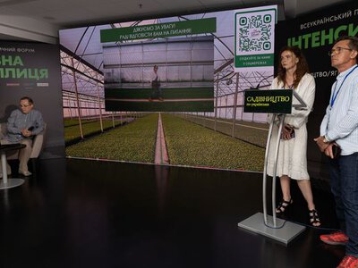 Тепличний бізнес: нові рішення для стабільного врожаю