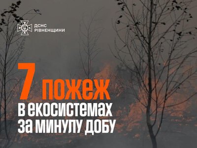 За добу на Рівненщині ліквідували сім пожеж в екосистемах