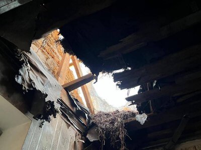 Ворог атакував Зеленівку: ХМВА показала наслідки (фото)