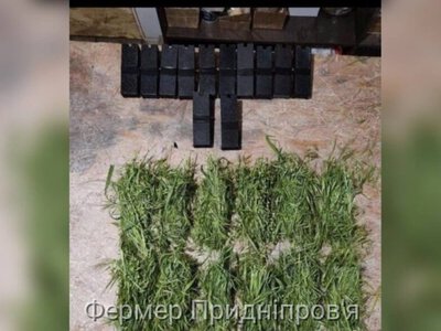 Нова небезпека для цивільних: на Нікопольщині ворог може маскувати міни травою 