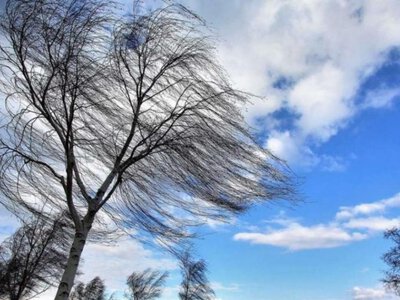 Жителів Рівненщині попереджають про сильний вітер та закликають бути обережними
