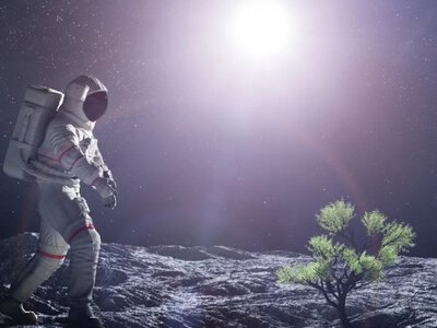 Астронавт привіз із Місяця насіння, з якого досі ростуть дерева