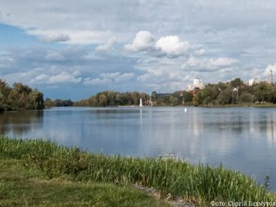 На вінницьких пляжах виявили яйця аскарид