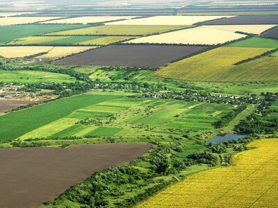 Дніпропетровщина потрапила до п’ятірки регіонів із найнижчими цінами на сільгоспземлю - Опендатабот