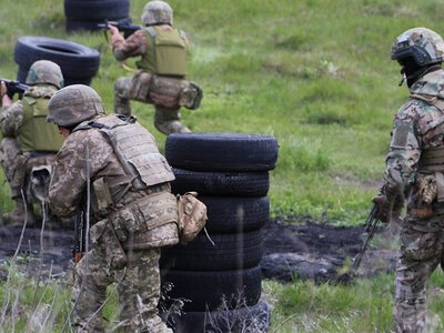 Особлива увага протидії FPV-дронам: Міноборони впровадило оновлену програму БЗВП