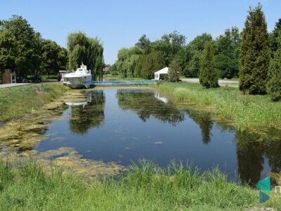 Риба у каналах Центрального парку Луцька пережила важку зиму