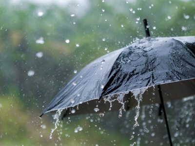 У Києві та області оголосили «жовтий» рівень небезпеки через сильний вітер
