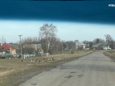 Журналістка пояснила, чому росіяни заявляли про захоплення Миропілля й Запсілля на Сумщині