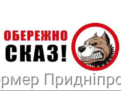 Обережно сказ: у Карнаухівці на Дніпропетровщині запроваджено карантин 