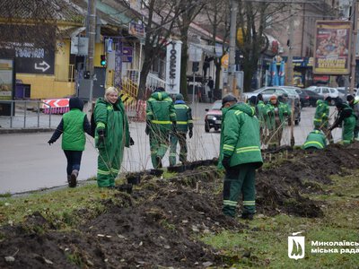 У Миколаєві визначили парки та сквери, де проходитиме акція «Подаруй дерево місту»