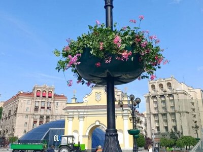 У Шевченківському районі Києва висадили ампельні квіти у сквері на Майдані та в парку Шевченка