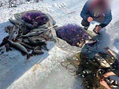 На Изюмщине разоблачили мужчину на незаконном вылове рыбы на р. Оскол