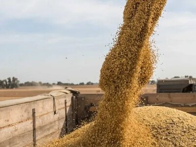 Зерно з окупації: не затребуване у світі