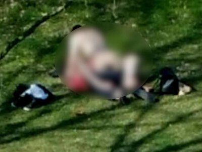 Палке кохання у Чехії: у Пльзені пара влаштувала інтим посеред парку на очах у поліції