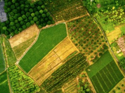 Луцька міськрада не підтримала виділення ділянок для будівництва релігійних споруд кришнаїтів